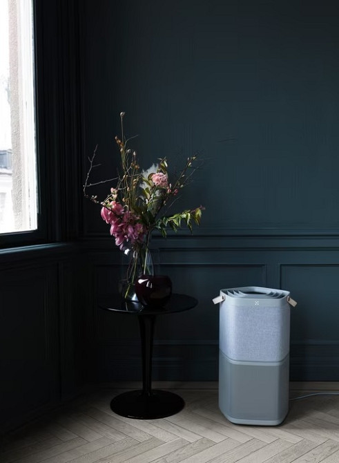 Очиститель воздуха Electrolux PA91-404GY серый Киев - изображение 5