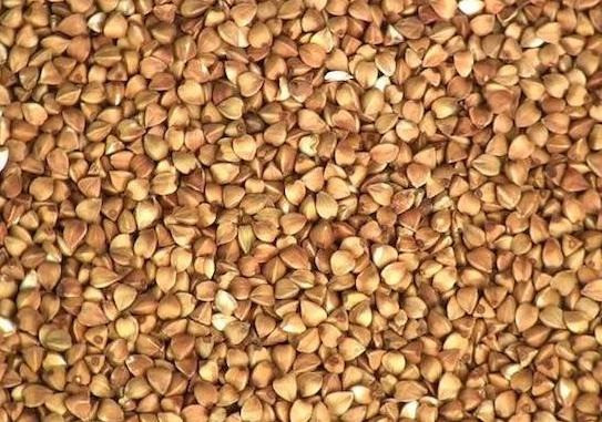 Зерно гречки Львів - зображення 1