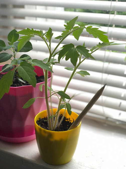 Корпоративні подарунки для агентств нерухомості Киев - изображение 3