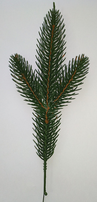 Искусственная ветка ели Элит - 3 Зелёная Киев - изображение 10