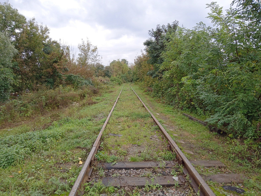 Продам производственно складской комплекс Бровары!!! Бровари - зображення 5