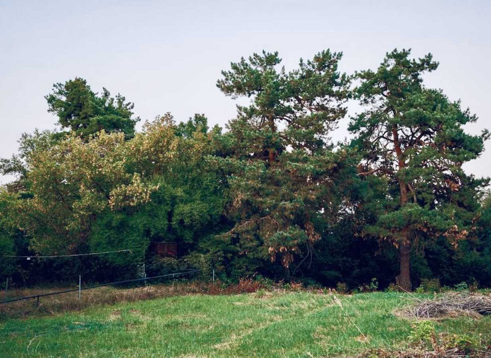 продажа участок под жилую застройку Обуховский, Плюты, 137000 $  - изображение 3