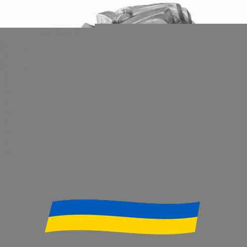12 R16.5 GTK LD90 148A3 Сельхоз шина Київ