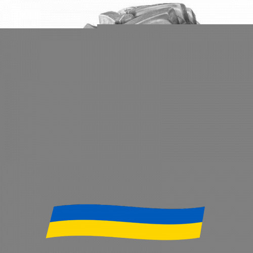 12 R16.5 GTK LD90 148A3 Сельхоз шина Київ - зображення 1