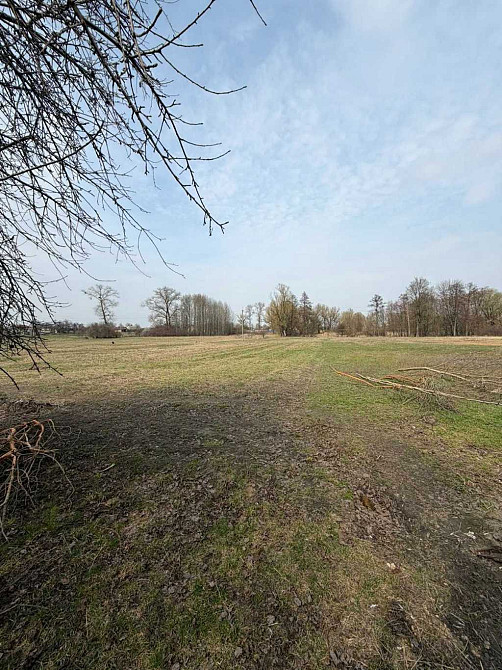 продажа 3-к дом Броварский, Рожны, 38000 $  - зображення 9