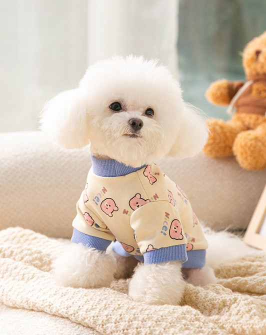 Кофта для собаки 10980 S блакитна Киев - изображение 1