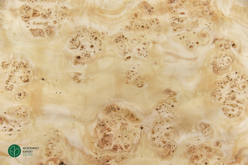 Шпон ТОПОЛЬ очковий товщина: 0,7 мм / Кап (*карельська береза) Киев - изображение 8