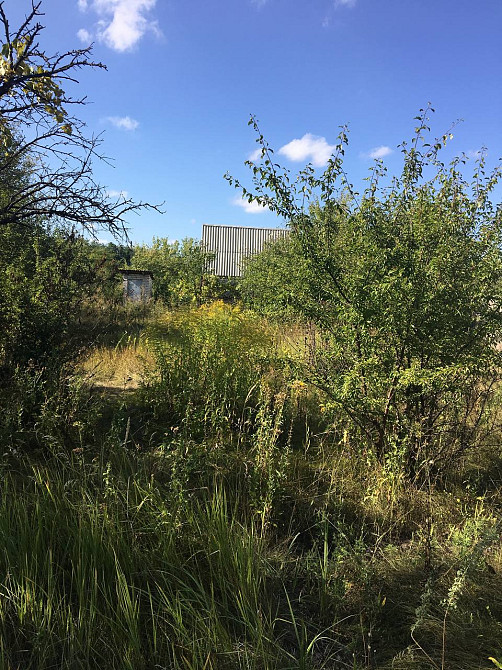 Продам. Дачу 15 м.кв. 8 сот. Подгородное, ДО "Радуга". Днепр - изображение 6