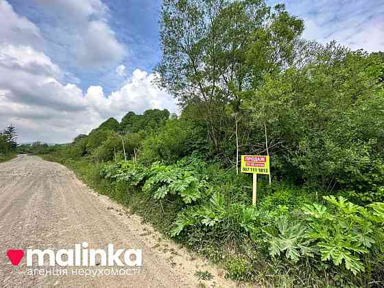 продажа земля сельскохозяйственного назначения Сколевский, Верхнее Синевидное, 20000 $ 