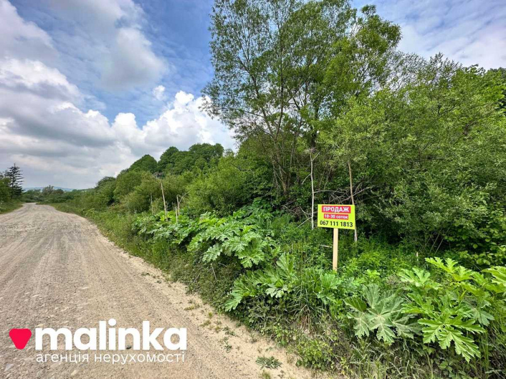 продажа земля сельскохозяйственного назначения Сколевский, Верхнее Синевидное, 20000 $  - изображение 2