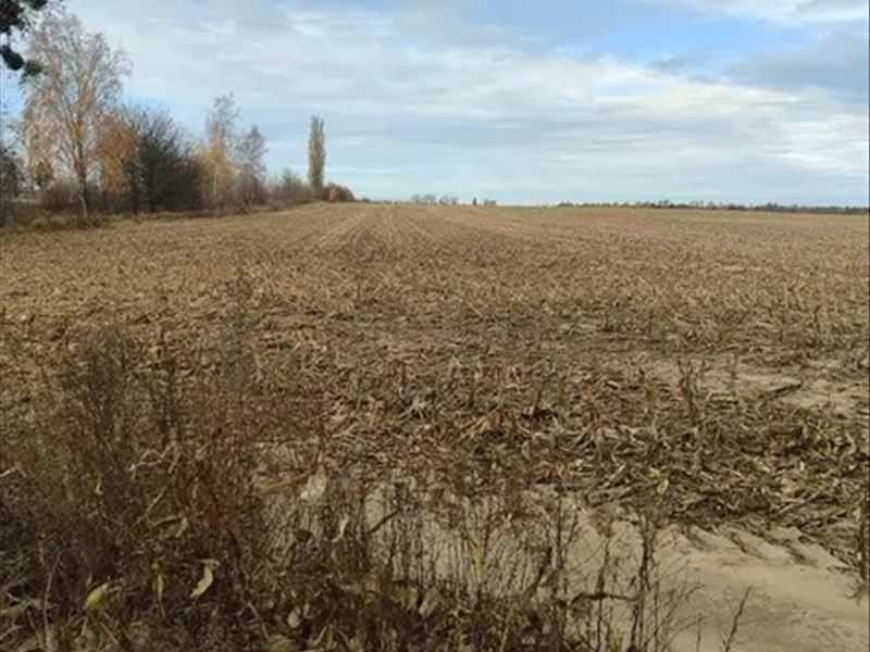 продажа земля сельскохозяйственного назначения Макаровский, Наливайковка, 404888 грн.  - изображение 4