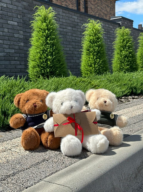 Плюшевий ведмедик з вашим голосом | Подарунок з аудіо-повідомленням (3 кольори) Львов - изображение 2