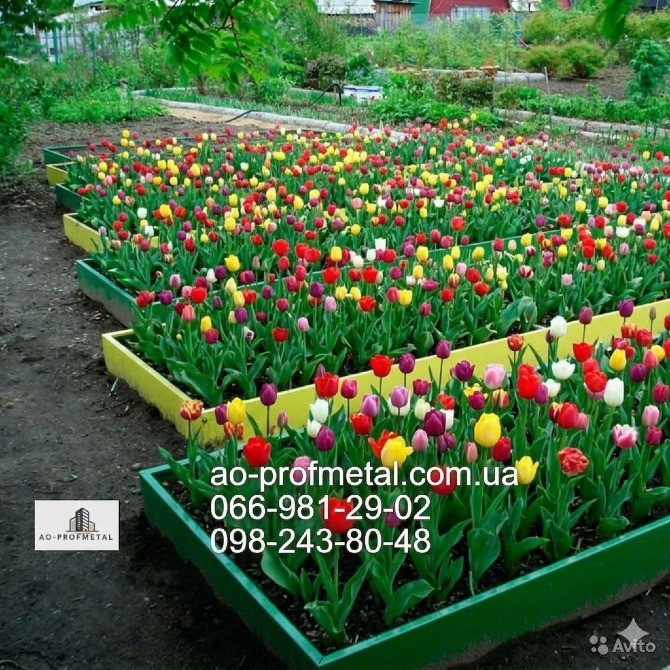 Грядка сучасна металева. Киев - изображение 2