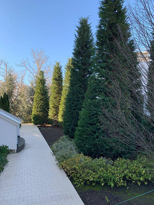 Продам елітний будинок біля моря на 9-й станції Великого Фонтану Одеса - зображення 2