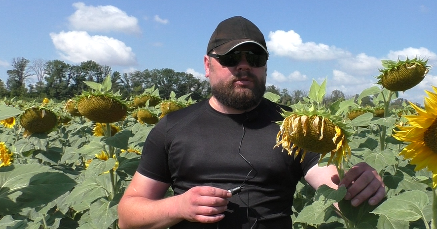 Соняшник Орієнтир 7р. під гранстар 60 Днепр - изображение 1