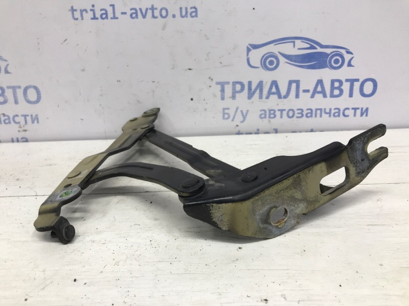 Петля крышки багажника правая Chevrolet Epica V250 2.0 X20D1 2006 (б/у) Київ - зображення 3