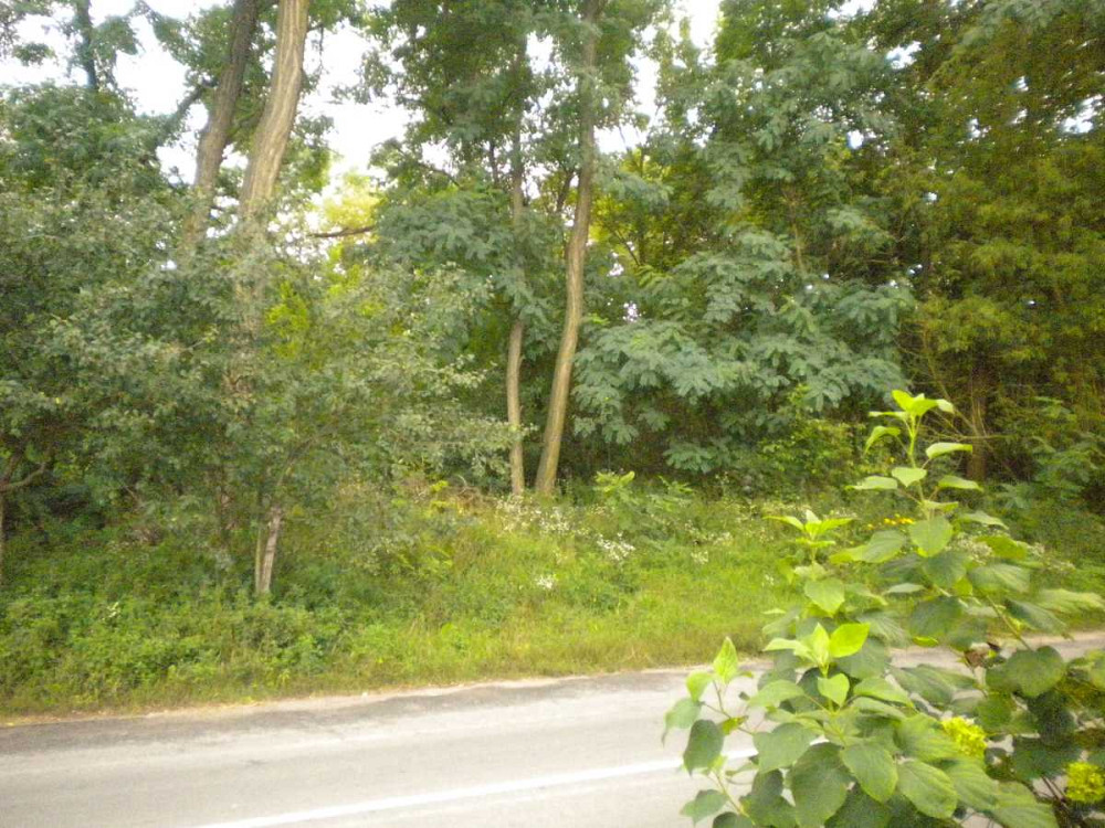 продажа участок под жилую застройку Иванковский, Тетеревское, 6000 $  - изображение 3