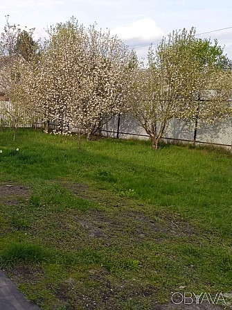 Продам ділянку 3 сотки недалеко від Києва Киев - изображение 3
