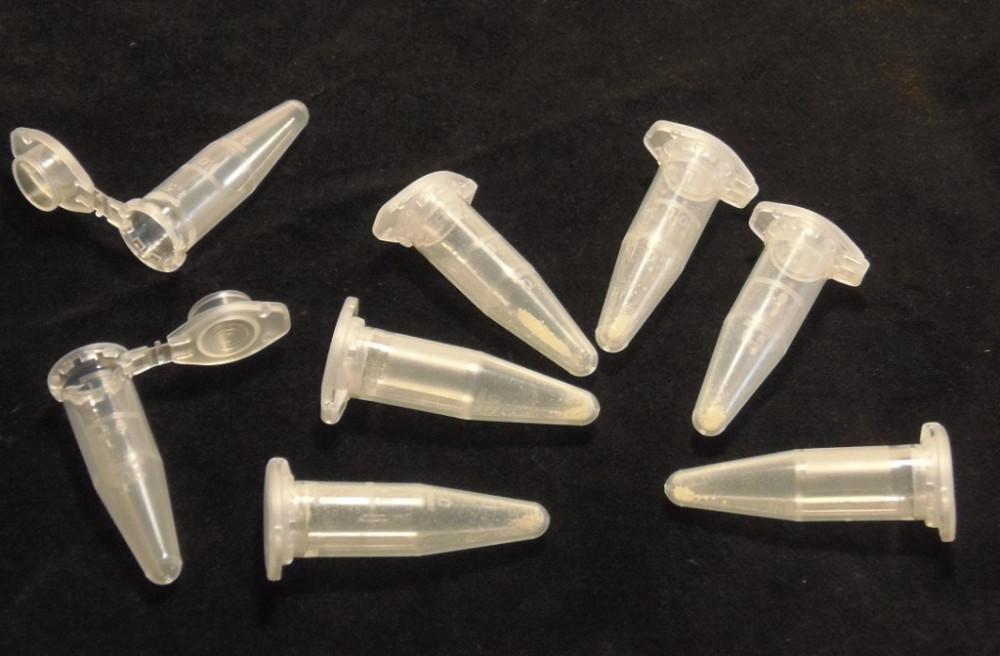 Ахаслим — космецевтический препарат для здоровья и молодости кожи от самой Природы. Харків - зображення 2