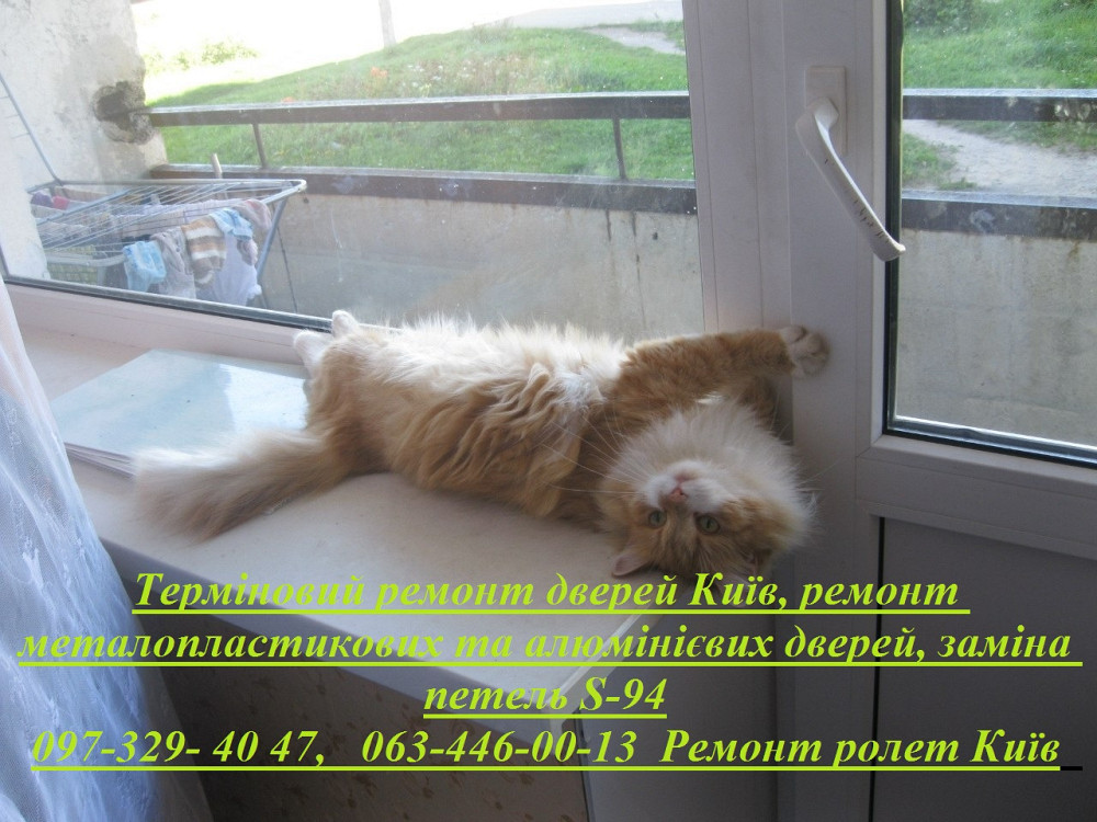 Терміновий ремонт дверей Київ, ремонт металопластикових та алюмінієвих дверей, заміна петель S-94 Киев - изображение 1