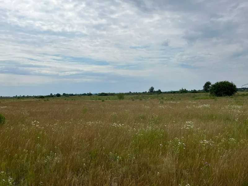 продажа земля сельскохозяйственного назначения Бориспольский, Головуров, 44800 грн.  - изображение 2