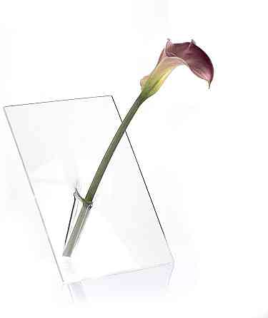 Ваза для квітки Guzzini Icons 16970000 Киев