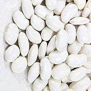 Квасоля біла на переробку куплю Львов