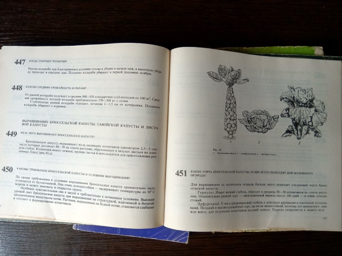 Книги: Овощи. Овощеводство. Огород. Львов - изображение 9