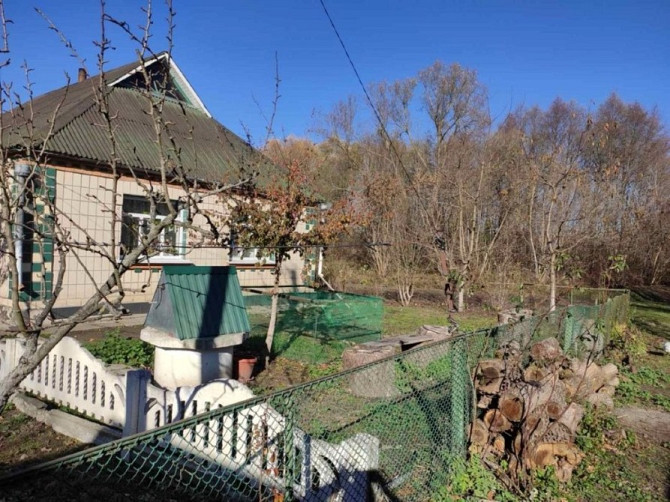 Продам дом в с. Шамраевка, Киевская область Біла Церква - зображення 2