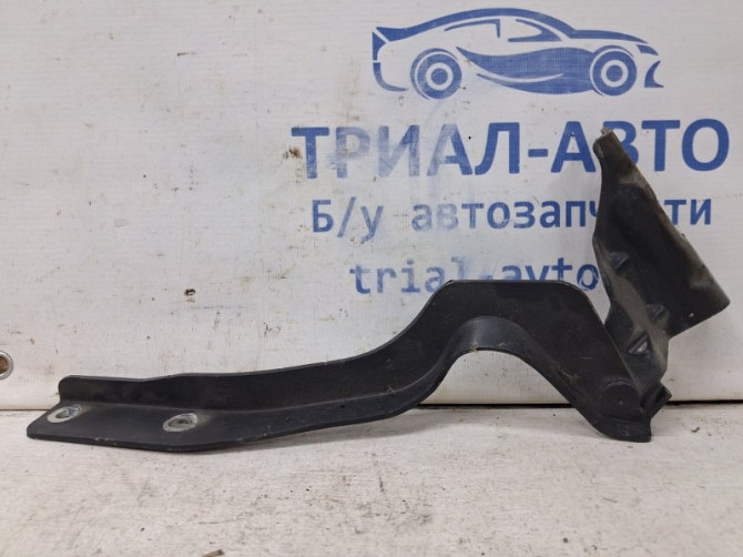 Петля капота левая Nissan Qashqai J10 2.0 БЕНЗИН MR20DE 2006 (б/у) Київ - зображення 1