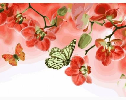 Картина по номерам Babylon Бабочки и красные орхидеи Харків - зображення 1
