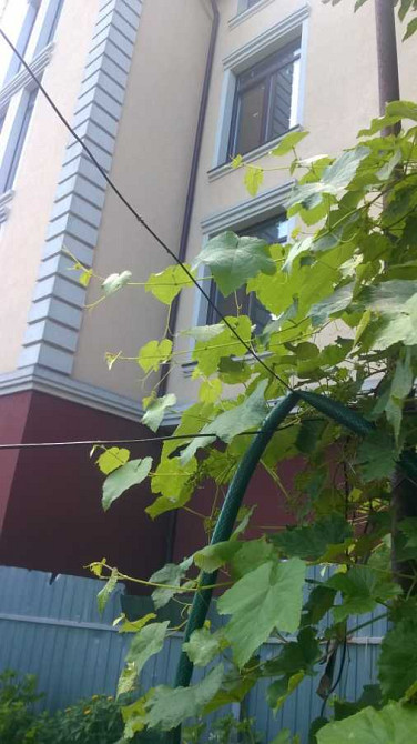 продажа 2-к дом Киев, Соломенский, 119000 $ Київ - зображення 10