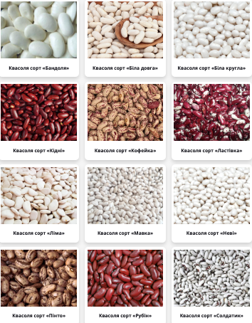 Квасоля Шоколадниця, Чорна дрібна, Чалі, Мавка та ін. Від 5 т Харьков - изображение 1