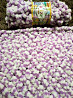 Плед покривало дитячий в'язаний з пряжі Alize Puffy color ручної роботи Handmade Нововолынск