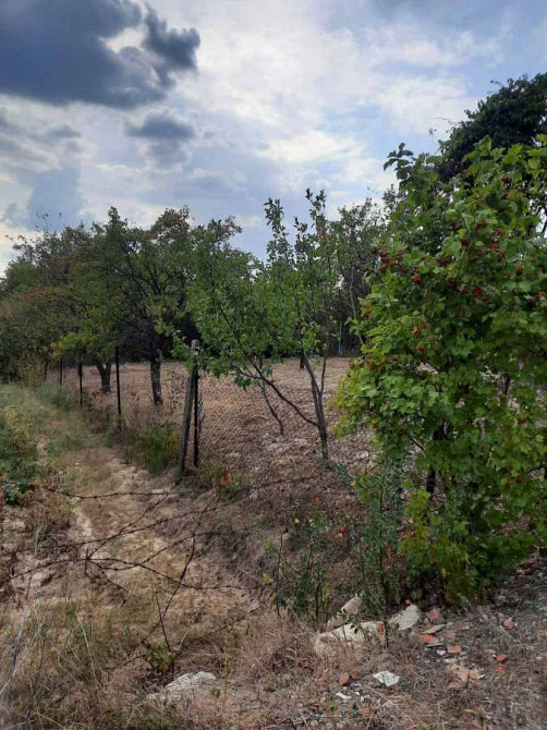 продажа участок под жилую застройку Ужгород, 13500 $ Ужгород - зображення 5