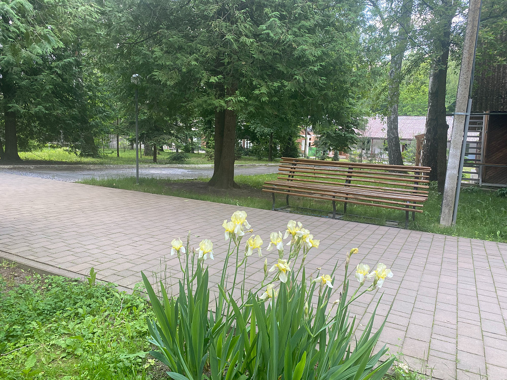 Відпочинок за містом. Оздоровлення. Хмельник - зображення 3