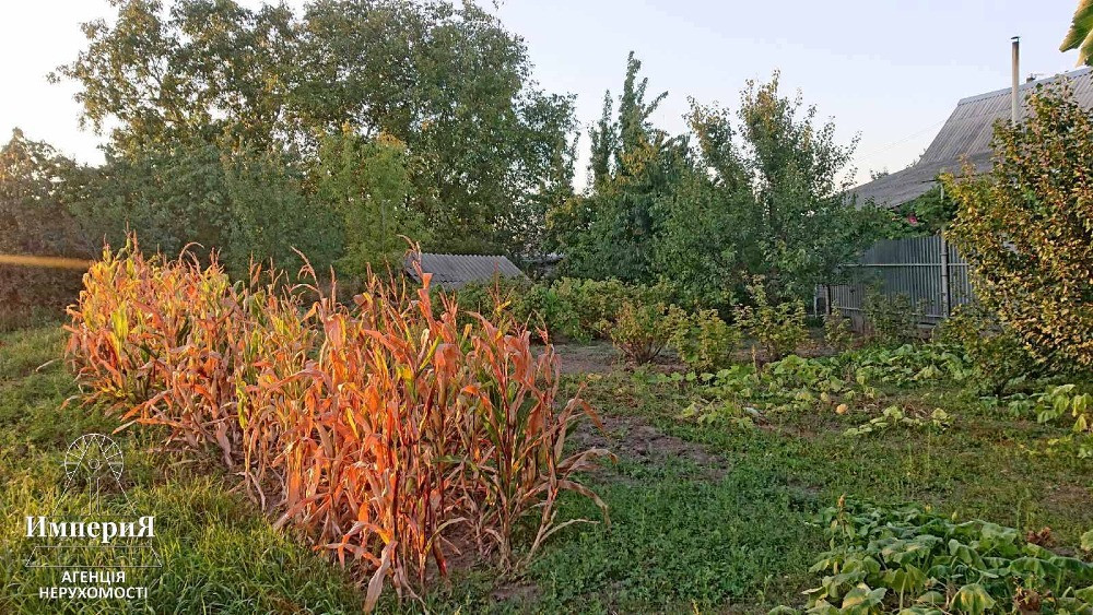 Півбудинку в Шамраівці.27 соток.Фундамент під новий будинок. Біла Церква - зображення 6