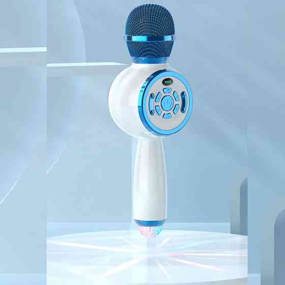 Караоке Микрофон-колонка DS810 Херсон
