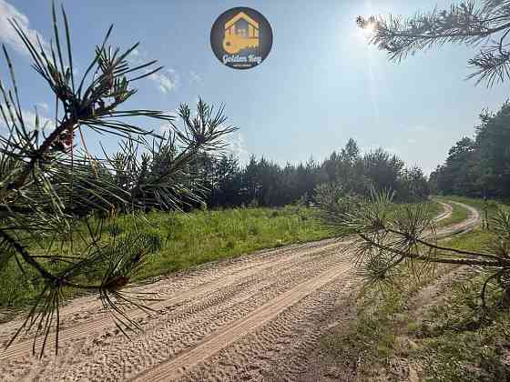 продажа земля сельскохозяйственного назначения Бориспольский, Гнедин, 90000 $ 