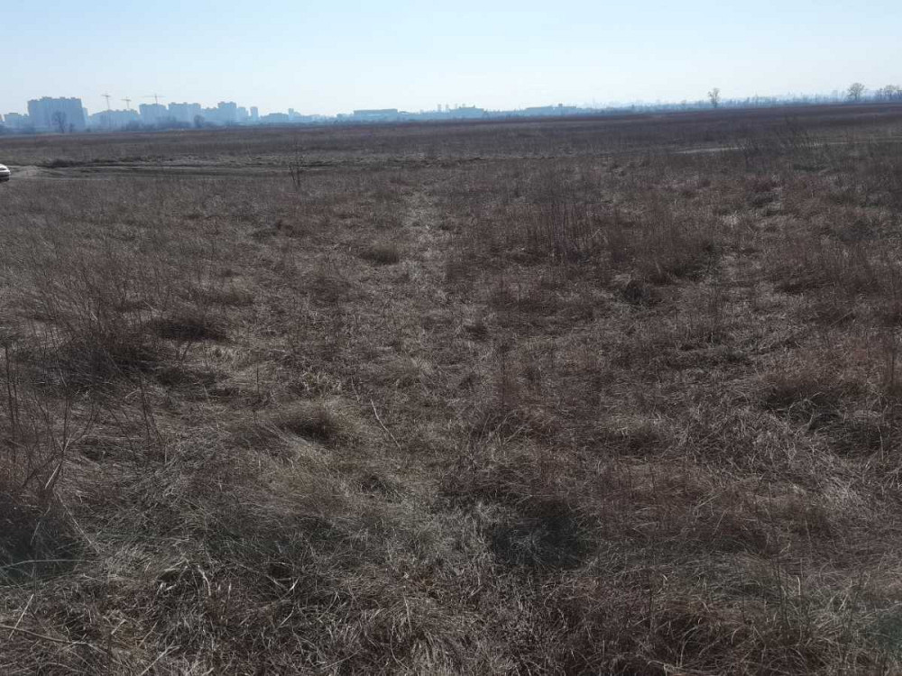 продажа земля сельскохозяйственного назначения Броварский, Погребы, 14000 $  - зображення 3