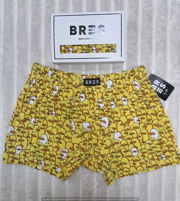 Мужские боксеры BRES с принтом «Уточки» (арт. MSHK 304/03/133) Кривий Ріг - зображення 1