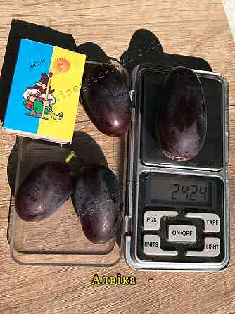 Саджанці винограду (Харків) Харків