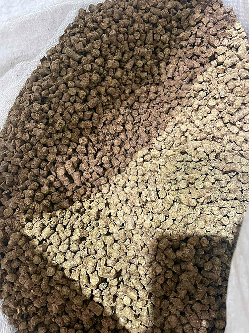 Продам паливні деревинно-тирсові дубові гранули (пелети) . Розмір 6 мм. Олександрія - зображення 2
