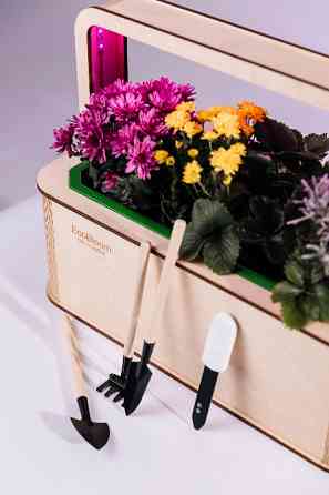 EcoBloom Smart Garden Розумний сад вдома Ивано-Франковск