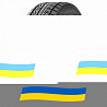225/45 R17 Arivo Winmaster ARW1 94H Позашляхова шина Київ