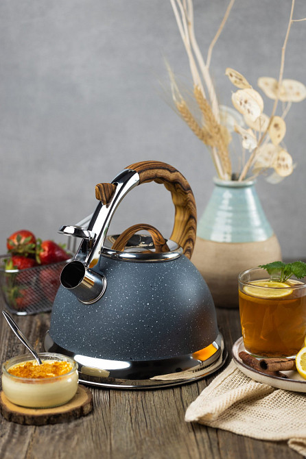 Чайник зі свистком Edenberg EB-8852-Grey 3 л сірий Киев - изображение 1