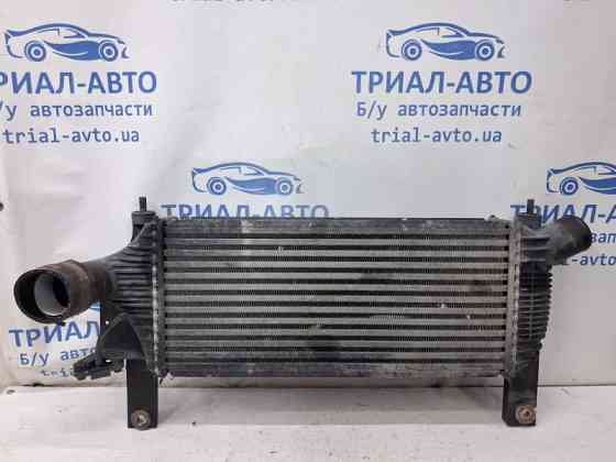 Радиатор интеркуллера Nissan Pathfinder 2004-2014 14461EB360 (Арт. 82059) Київ
