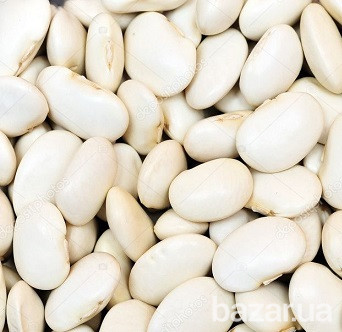 Біла квасоля закупівля. Куплю квасолю Львов - изображение 1