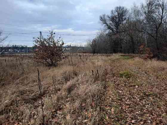 Продам ідеальну ділянку в Хотянівці — біля ДЕСНИ та дубів княгині Ольги! Вишгород
