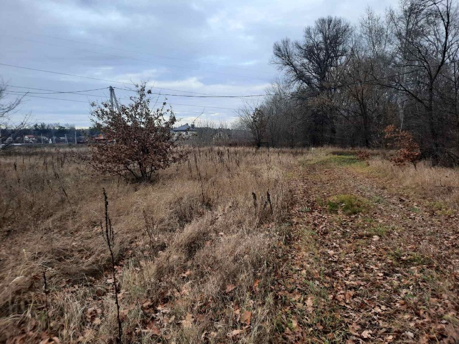 Продам ідеальну ділянку в Хотянівці — біля ДЕСНИ та дубів княгині Ольги! Вышгород - изображение 3
